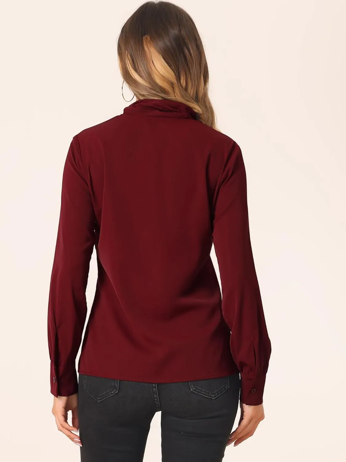 Allegra K Women's Dressy Long Sleeve Blouses Chiffon Pleated Tie Neck Office Top Shirt