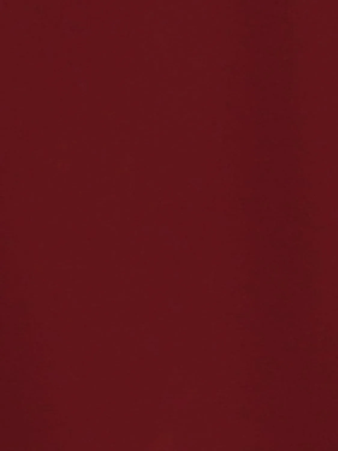 Allegra K Women's Dressy Long Sleeve Blouses Chiffon Pleated Tie Neck Office Top Shirt