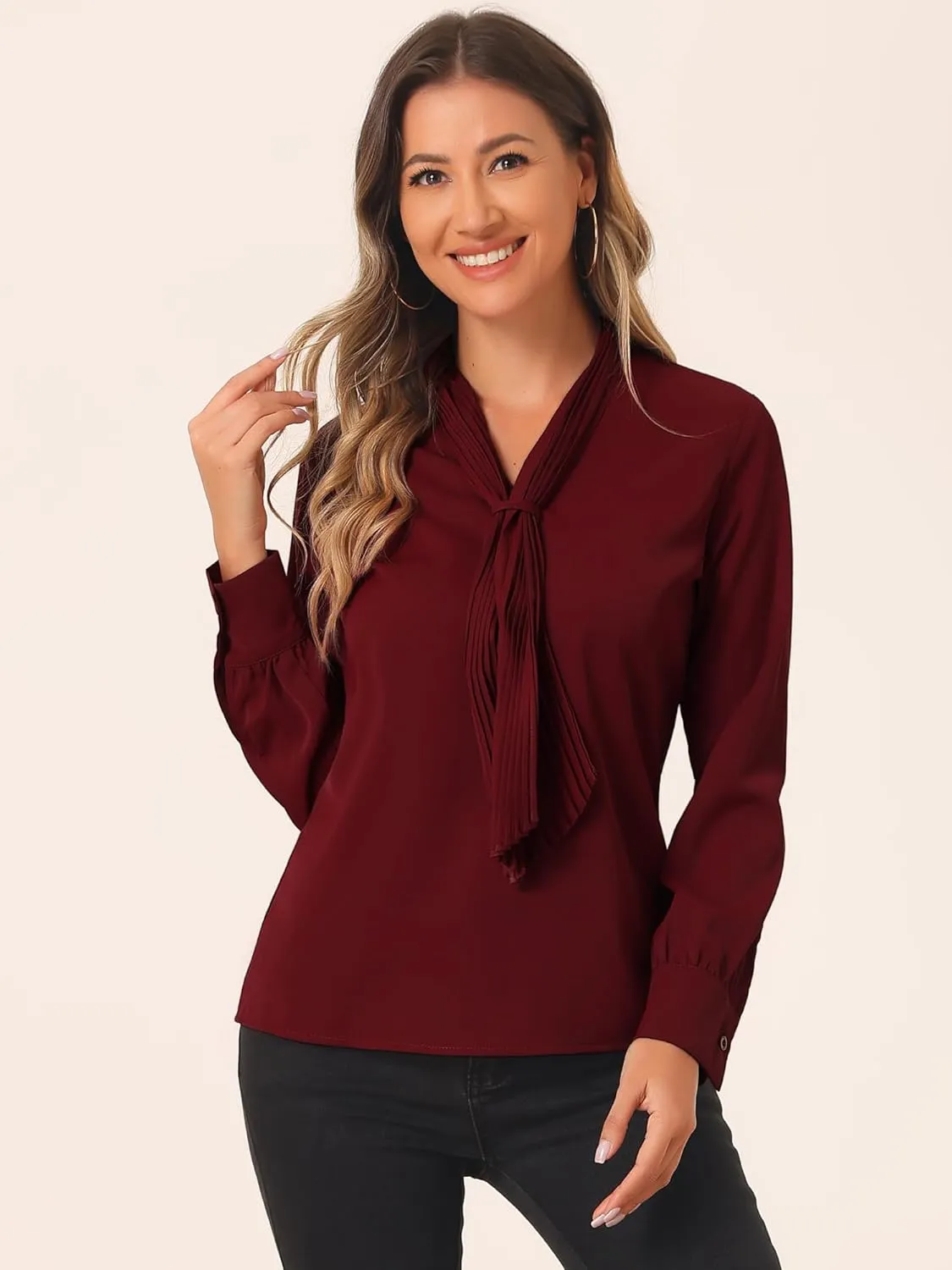 Allegra K Women's Dressy Long Sleeve Blouses Chiffon Pleated Tie Neck Office Top Shirt